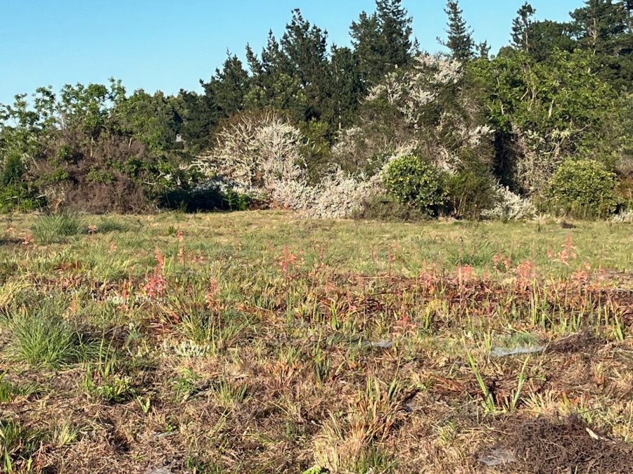 Commercial Property for Sale in Plettenberg Bay Rural Western Cape